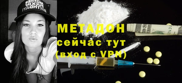шишки Медвежьегорск