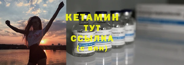 шишки Медвежьегорск