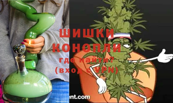 шишки Медвежьегорск