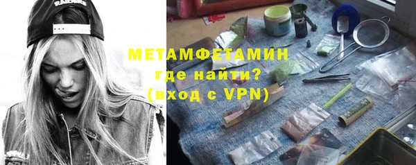 шишки Медвежьегорск