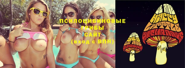 шишки Медвежьегорск
