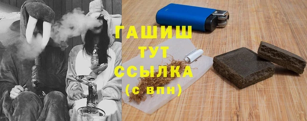 шишки Медвежьегорск