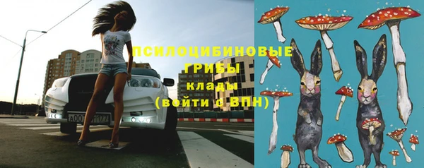 шишки Медвежьегорск