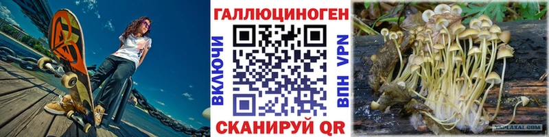 Купить закладки  Новороссийск  Псилоцибиновые грибы GOLDEN TEACHER 