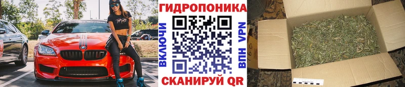 Купить где  Новороссийск  Бошки марихуана гибрид